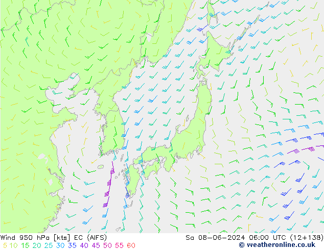 Wind 950 hPa EC (AIFS) So 08.06.2024 06 UTC