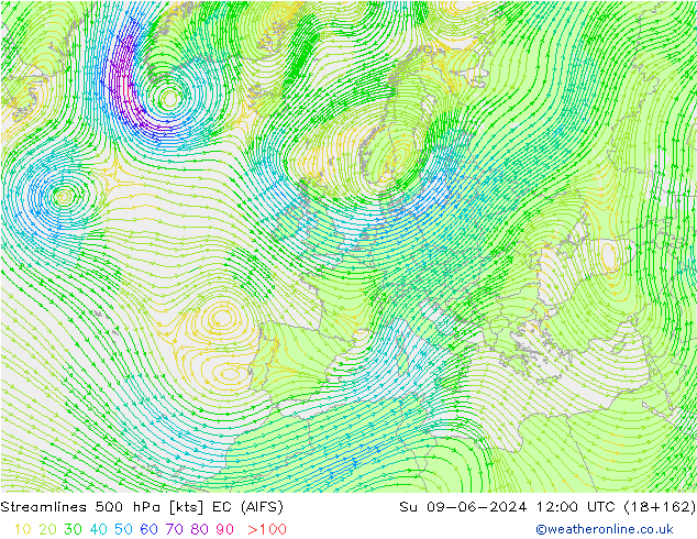 Linea di flusso 500 hPa EC (AIFS) dom 09.06.2024 12 UTC