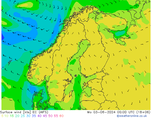 Surface wind EC (AIFS) Mo 03.06.2024 00 UTC