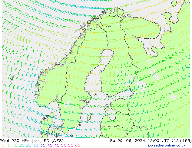 Viento 950 hPa EC (AIFS) dom 09.06.2024 18 UTC