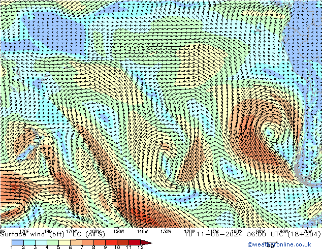 Surface wind (bft) EC (AIFS) Tu 11.06.2024 06 UTC