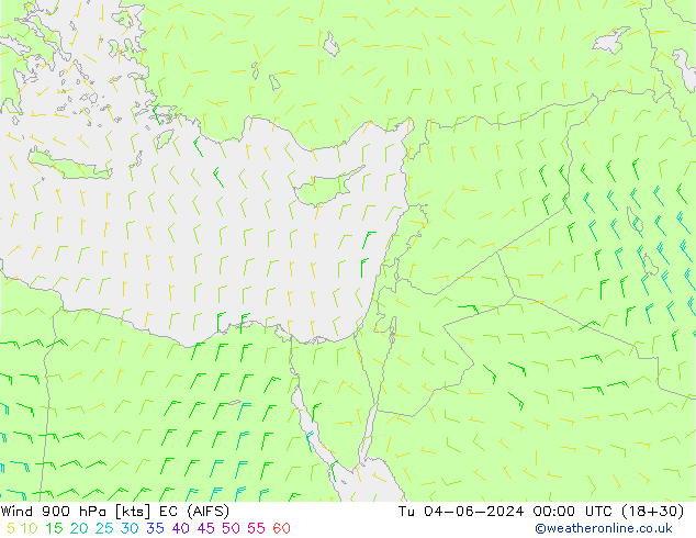 Wind 900 hPa EC (AIFS) di 04.06.2024 00 UTC