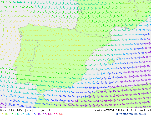 wiatr 500 hPa EC (AIFS) nie. 09.06.2024 18 UTC