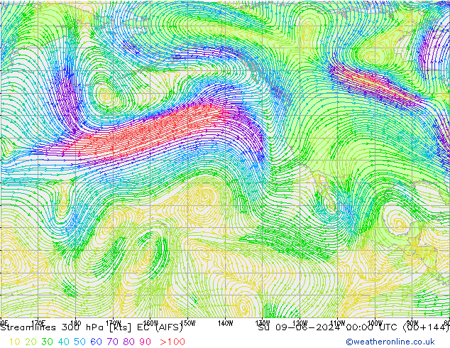 Ligne de courant 300 hPa EC (AIFS) dim 09.06.2024 00 UTC