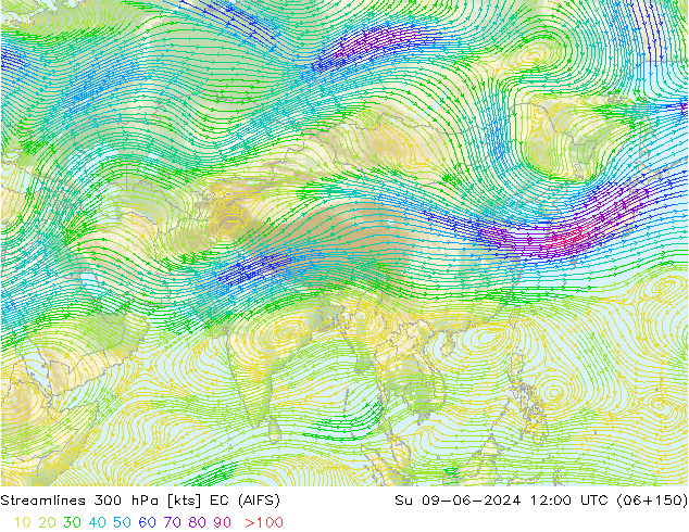  300 hPa EC (AIFS)  09.06.2024 12 UTC