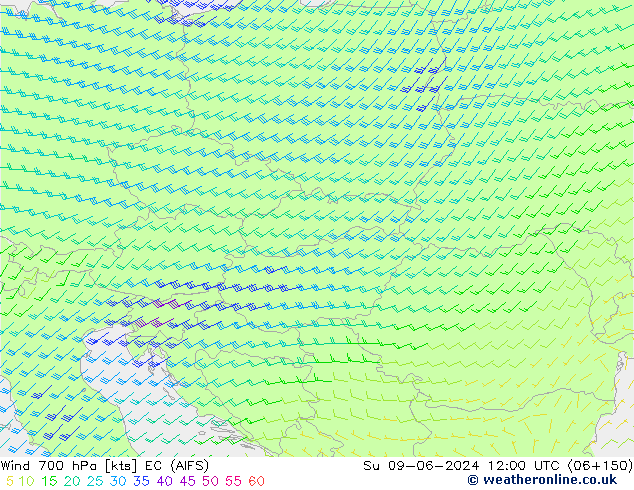  700 hPa EC (AIFS)  09.06.2024 12 UTC