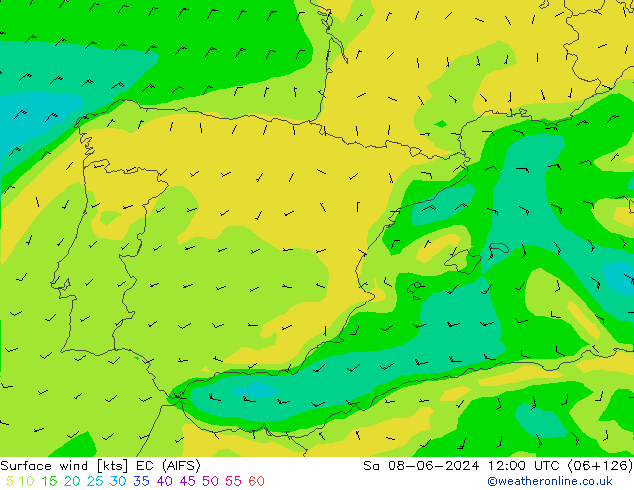  10 m EC (AIFS)  08.06.2024 12 UTC