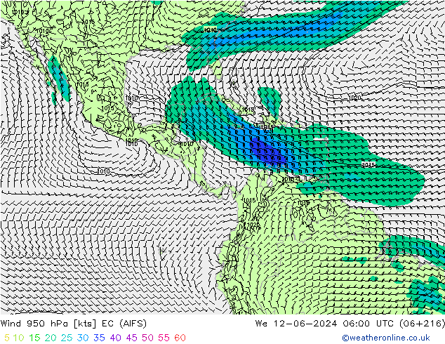 Wind 950 hPa EC (AIFS) We 12.06.2024 06 UTC