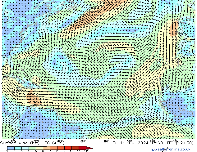 Wind 10 m (bft) EC (AIFS) di 11.06.2024 18 UTC