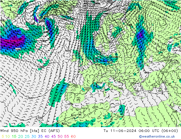 wiatr 950 hPa EC (AIFS) wto. 11.06.2024 06 UTC