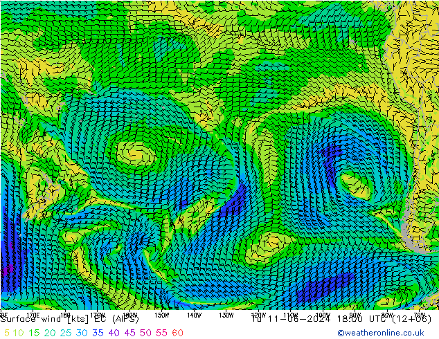 Wind 10 m EC (AIFS) di 11.06.2024 18 UTC