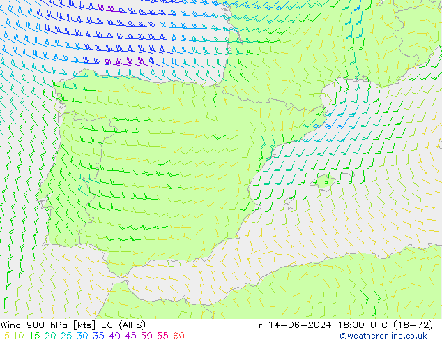  900 hPa EC (AIFS)  14.06.2024 18 UTC