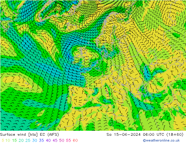 Surface wind EC (AIFS) Sa 15.06.2024 06 UTC