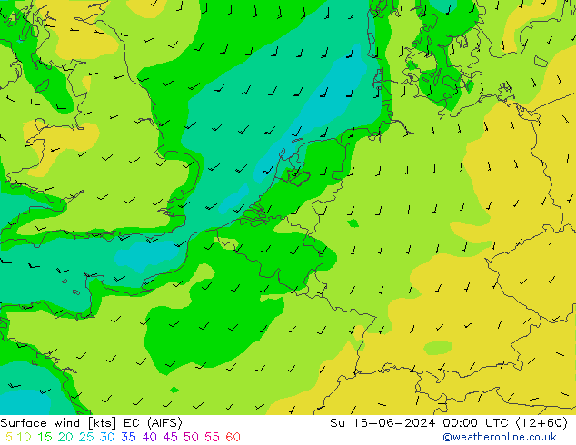 Viento 10 m EC (AIFS) dom 16.06.2024 00 UTC