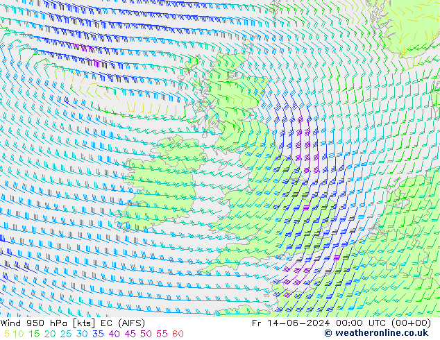 Wind 950 hPa EC (AIFS) Fr 14.06.2024 00 UTC