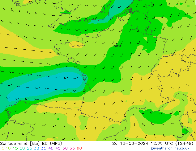 Surface wind EC (AIFS) Ne 16.06.2024 12 UTC