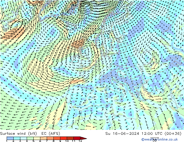 Surface wind (bft) EC (AIFS) Su 16.06.2024 12 UTC