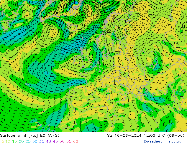 Bodenwind EC (AIFS) So 16.06.2024 12 UTC