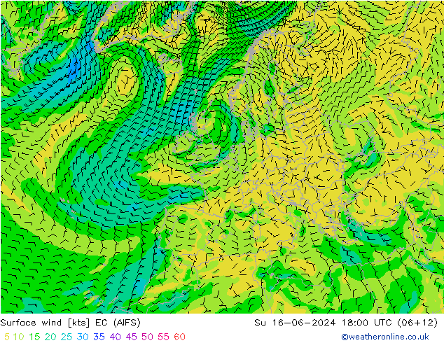 Surface wind EC (AIFS) Su 16.06.2024 18 UTC