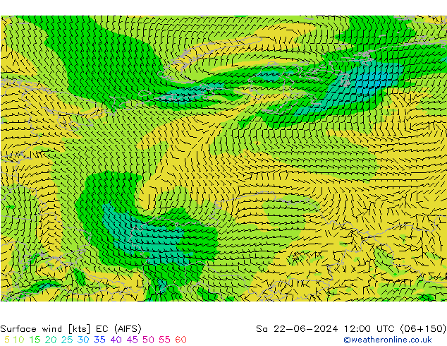 Surface wind EC (AIFS) Sa 22.06.2024 12 UTC