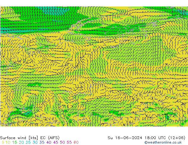 Vent 10 m EC (AIFS) dim 16.06.2024 18 UTC