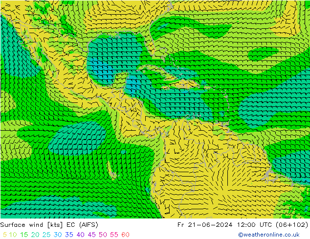 Surface wind EC (AIFS) Pá 21.06.2024 12 UTC