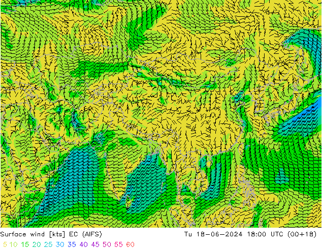 Surface wind EC (AIFS) Tu 18.06.2024 18 UTC