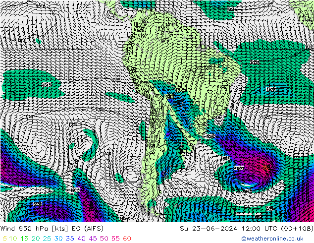 Wind 950 hPa EC (AIFS) zo 23.06.2024 12 UTC