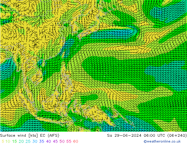 Surface wind EC (AIFS) So 29.06.2024 06 UTC