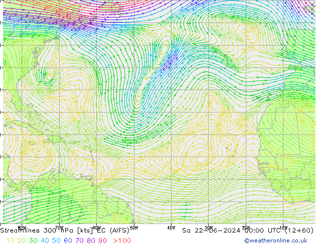 Linea di flusso 300 hPa EC (AIFS) sab 22.06.2024 00 UTC
