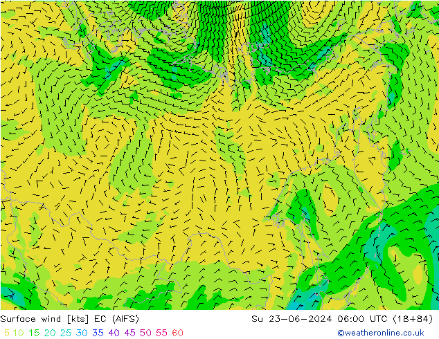  10 m EC (AIFS)  23.06.2024 06 UTC