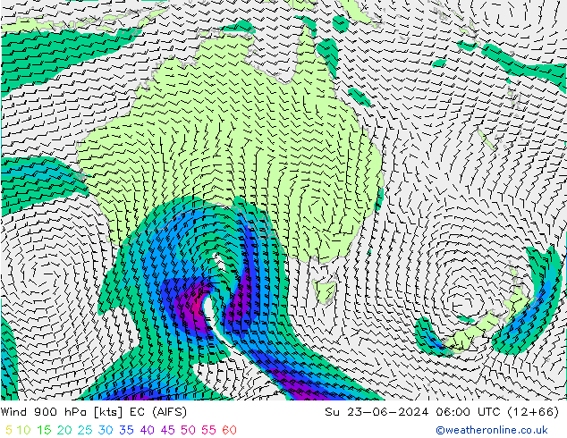 Wind 900 hPa EC (AIFS) Su 23.06.2024 06 UTC