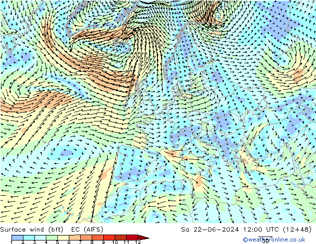 Surface wind (bft) EC (AIFS) Sa 22.06.2024 12 UTC