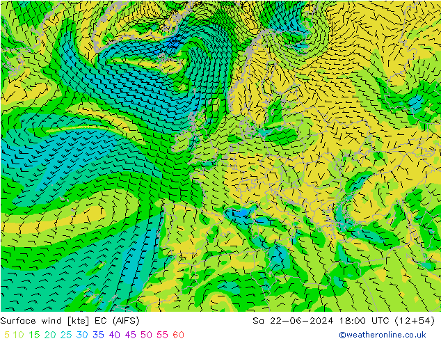 Surface wind EC (AIFS) Sa 22.06.2024 18 UTC