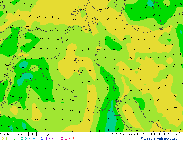 Surface wind EC (AIFS) So 22.06.2024 12 UTC