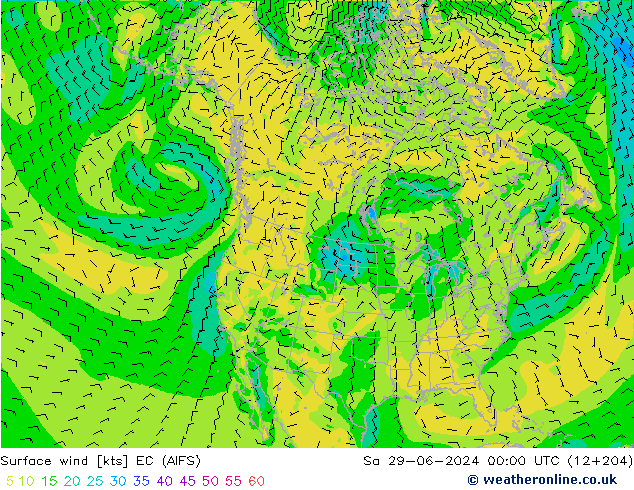 Surface wind EC (AIFS) So 29.06.2024 00 UTC