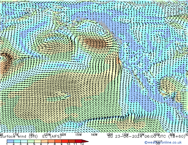 Surface wind (bft) EC (AIFS) Ne 23.06.2024 06 UTC