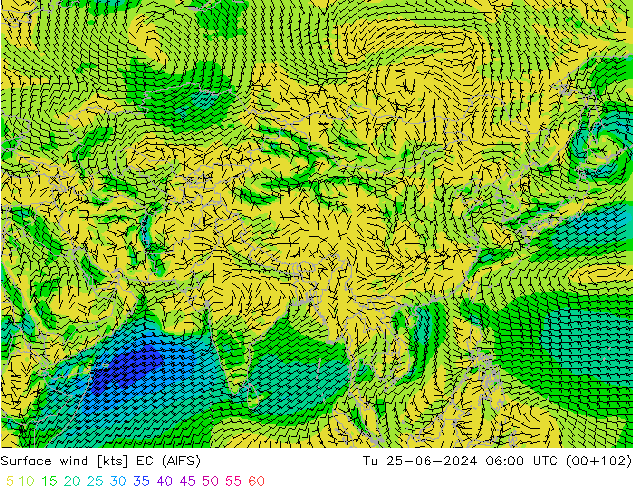 Surface wind EC (AIFS) Tu 25.06.2024 06 UTC