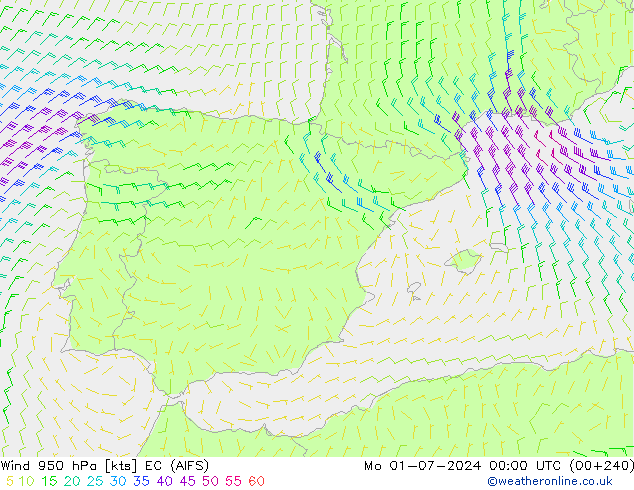 Wind 950 hPa EC (AIFS) Mo 01.07.2024 00 UTC