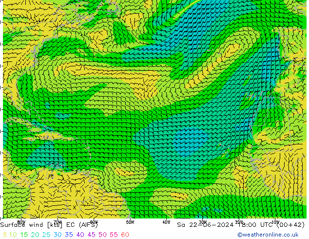 Surface wind EC (AIFS) So 22.06.2024 18 UTC