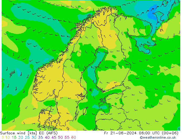 Surface wind EC (AIFS) Fr 21.06.2024 06 UTC