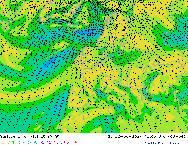 Wind 10 m EC (AIFS) zo 23.06.2024 12 UTC