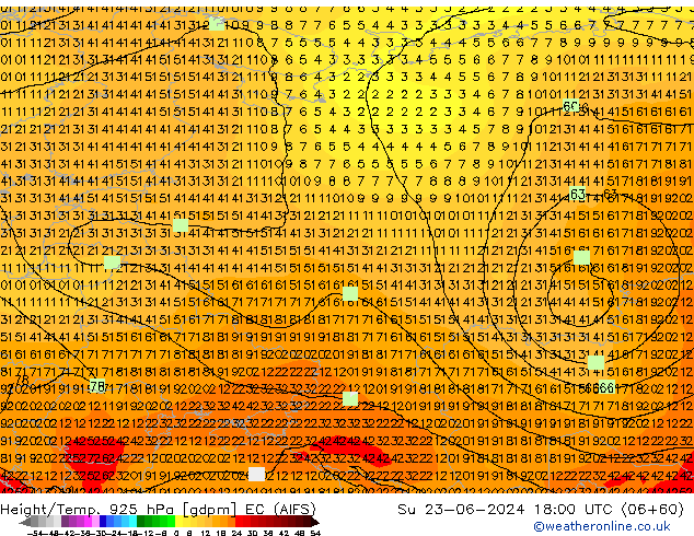 Height/Temp. 925 hPa EC (AIFS) Dom 23.06.2024 18 UTC