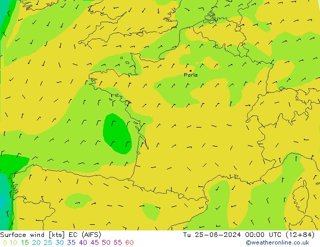 Surface wind EC (AIFS) Út 25.06.2024 00 UTC