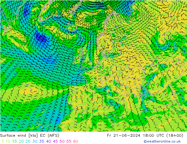 Bodenwind EC (AIFS) Fr 21.06.2024 18 UTC