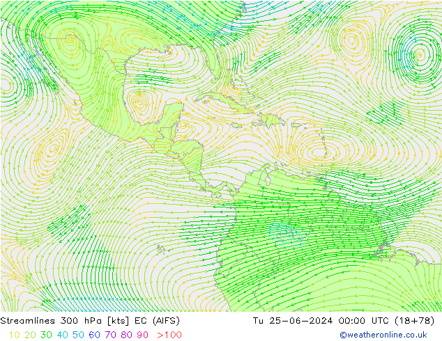 ветер 300 гПа EC (AIFS) вт 25.06.2024 00 UTC