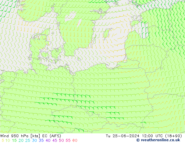 wiatr 950 hPa EC (AIFS) wto. 25.06.2024 12 UTC