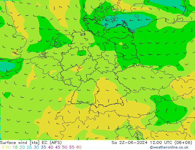 Bodenwind EC (AIFS) Sa 22.06.2024 12 UTC