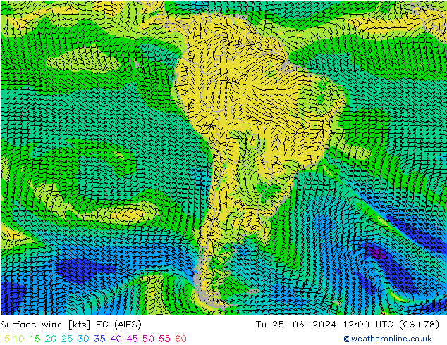 Bodenwind EC (AIFS) Di 25.06.2024 12 UTC