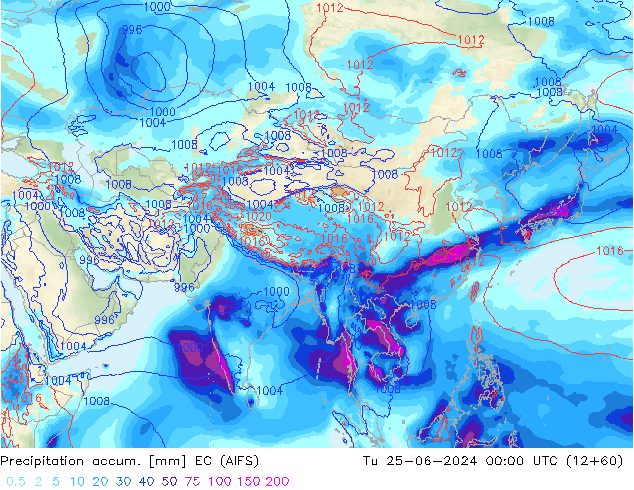 Precipitation accum. EC (AIFS) вт 25.06.2024 00 UTC